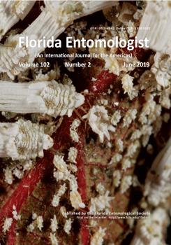 entomopathogenic fungi as biocontrol agents